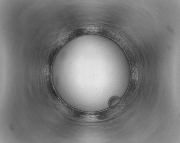 X0000116280518200912141351