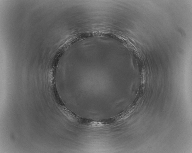 X0000116280519200912141351