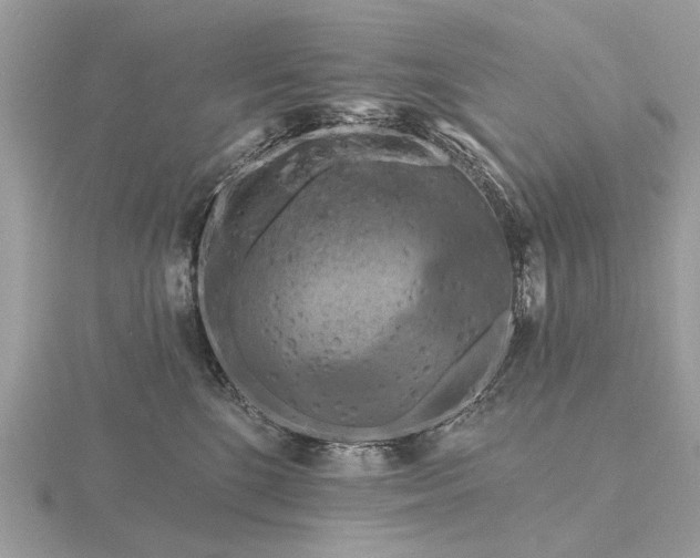 X0000116280520200912141351