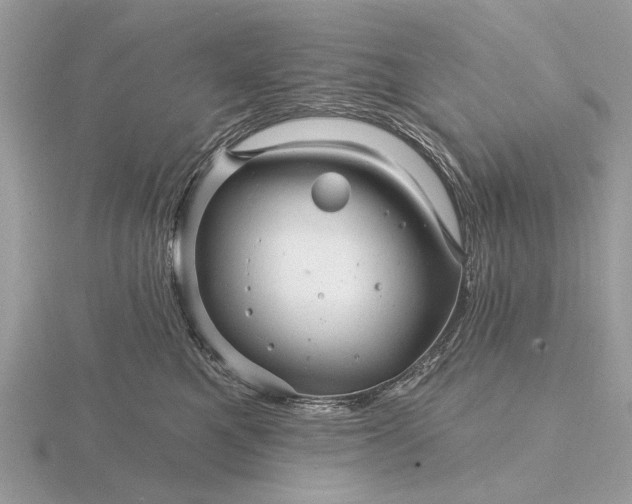 X0000116280521200912141351