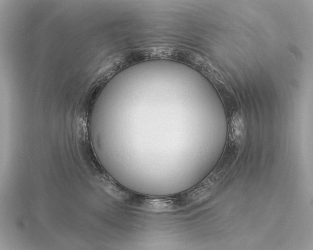 X0000116280522200912141351