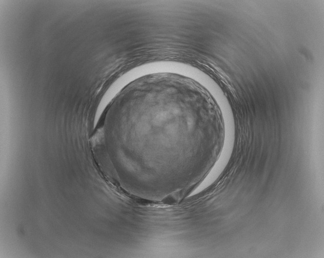 X0000116280524200912141351