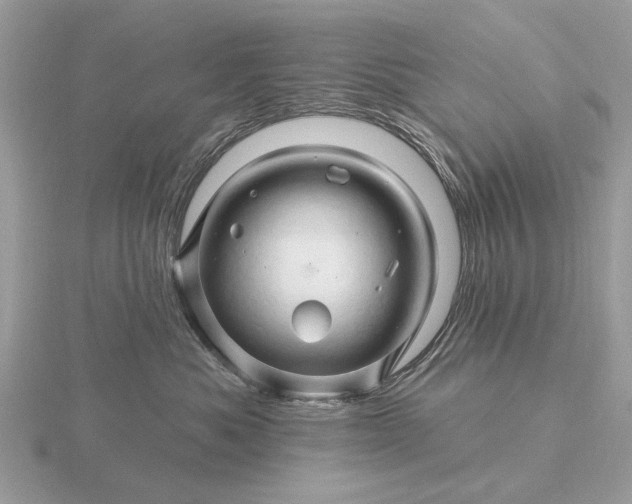 X0000116280525200912141351