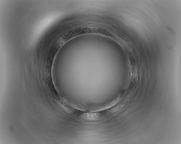 X0000116280526200912141351