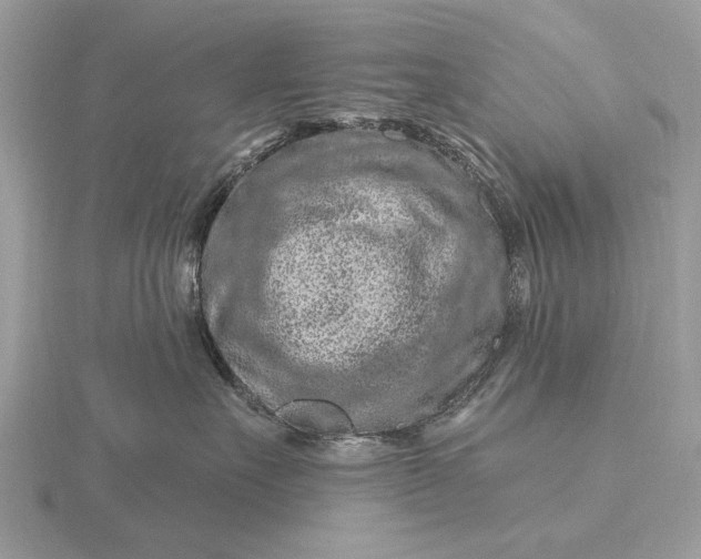 X0000116280527200912141351