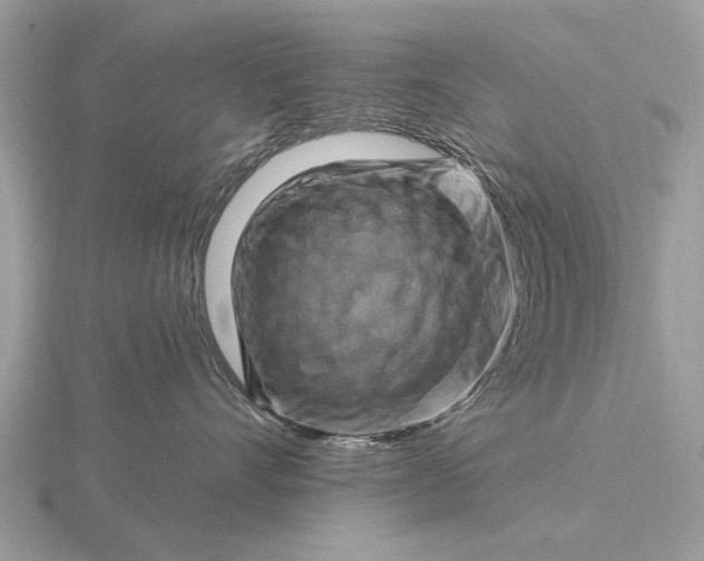 X0000116280528200912141351