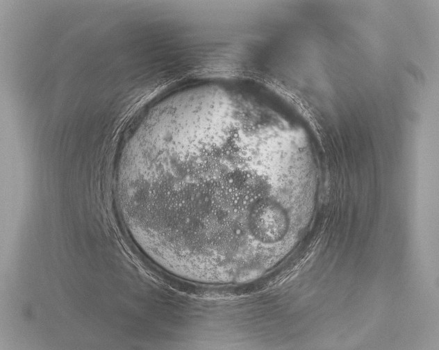 X0000116280529200912141350