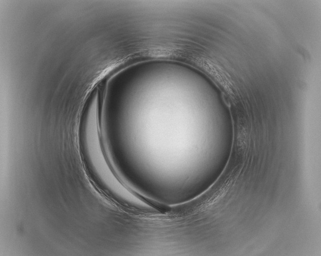 X0000116280530200912141350