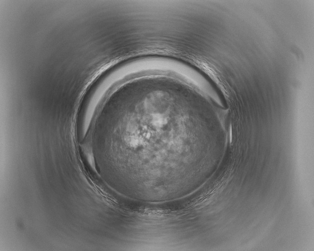 X0000116280531200912141350