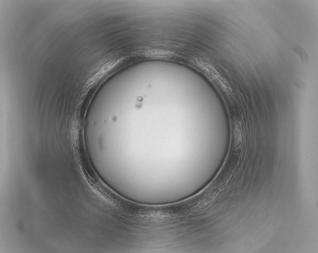 X0000116280533200912141350