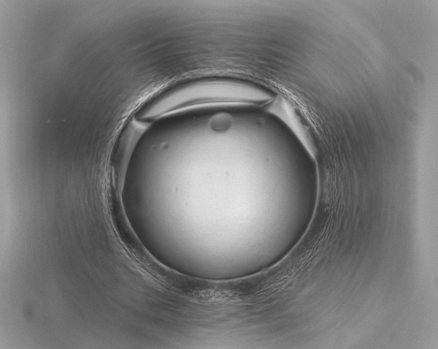 X0000116280535200912141350