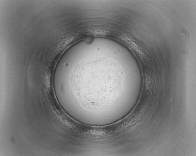 X0000116280537200912141350