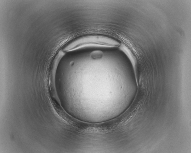 X0000116280538200912141350