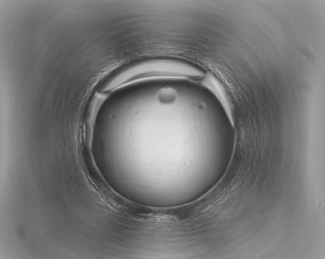 X0000116280539200912141350