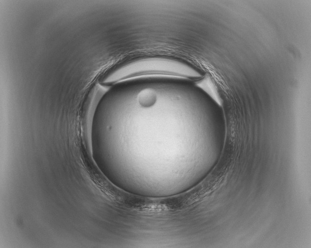 X0000116280543200912141350