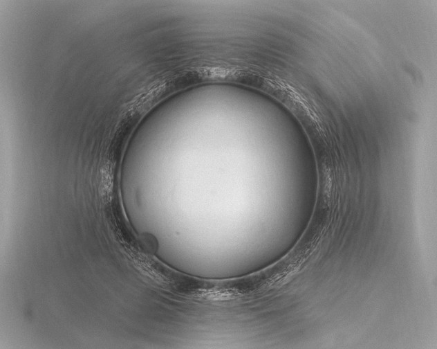 X0000116280545200912141350