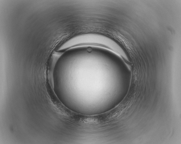 X0000116280546200912141350