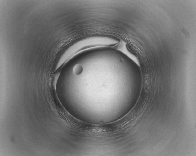 X0000116280547200912141351