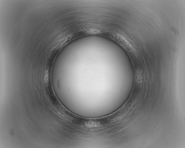 X0000116280549200912141351