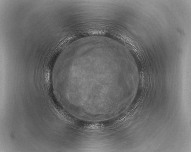 X0000116280550200912141351