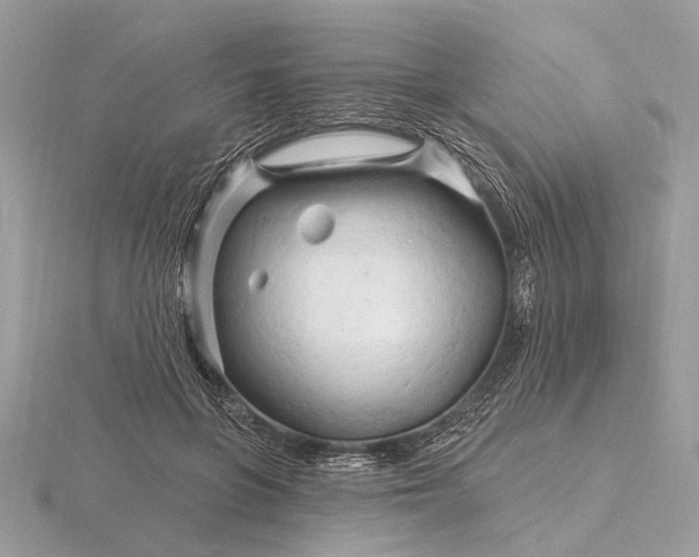 X0000116280551200912141351