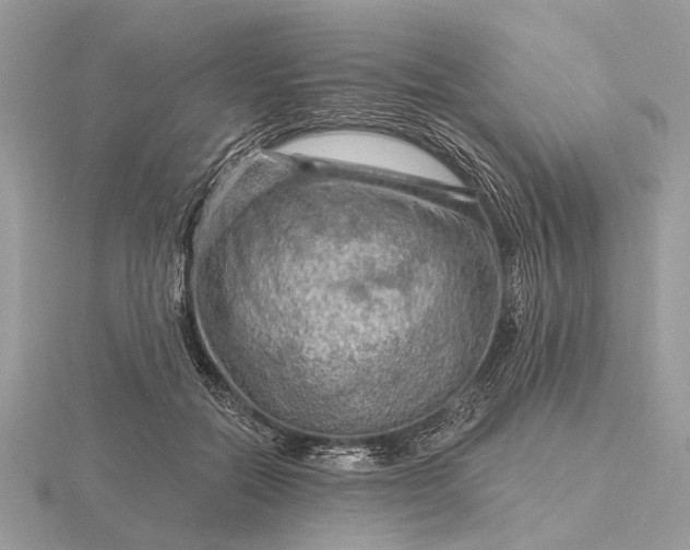 X0000116280554200912141351