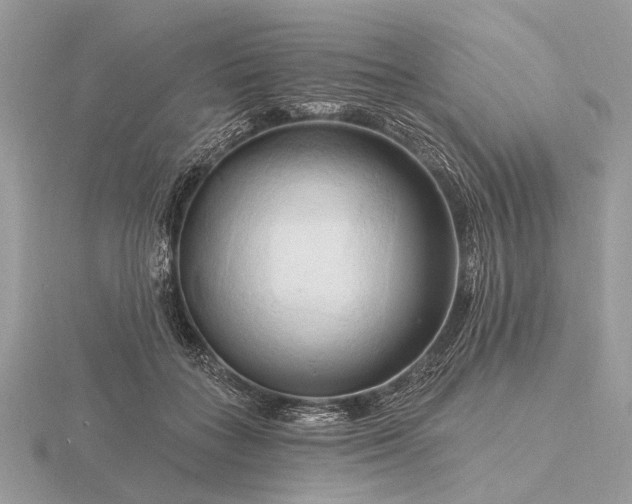 X0000116280555200912141351