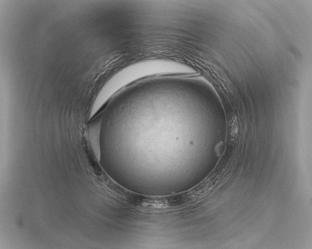 X0000116280559200912141351