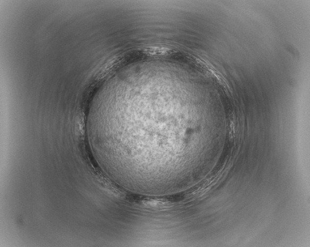 X0000116280561200912141351