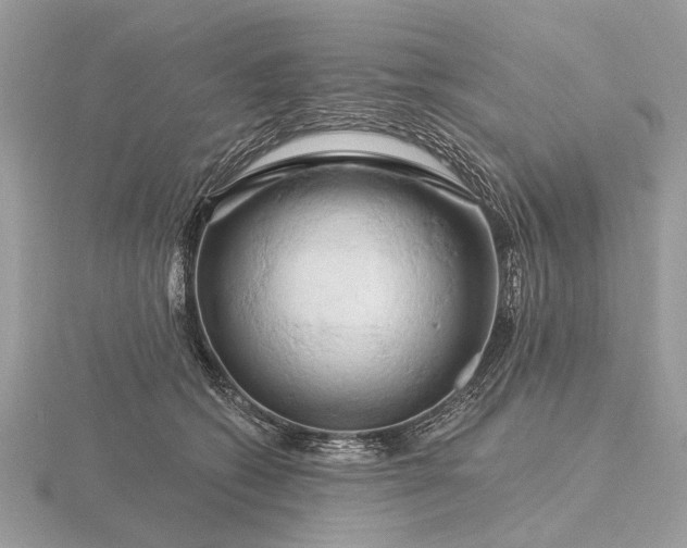 X0000116280562200912141351