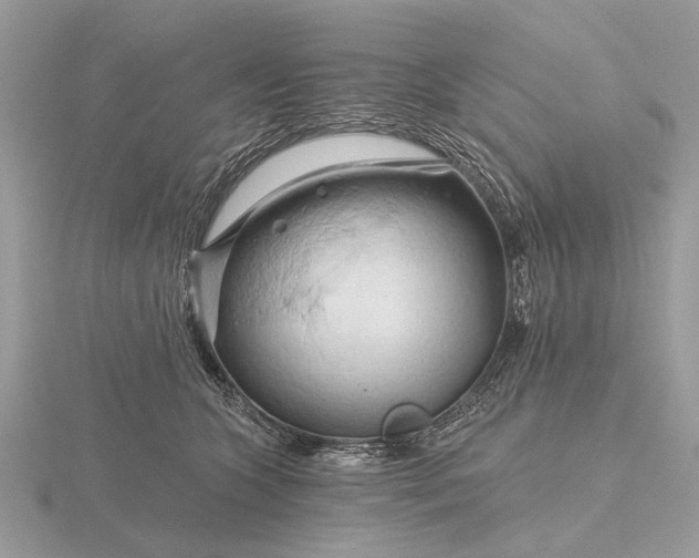 X0000116280563200912141351