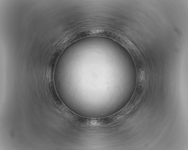 X0000116280565200912141351