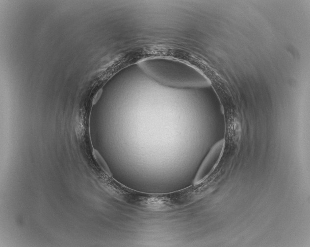 X0000116280566200912141351