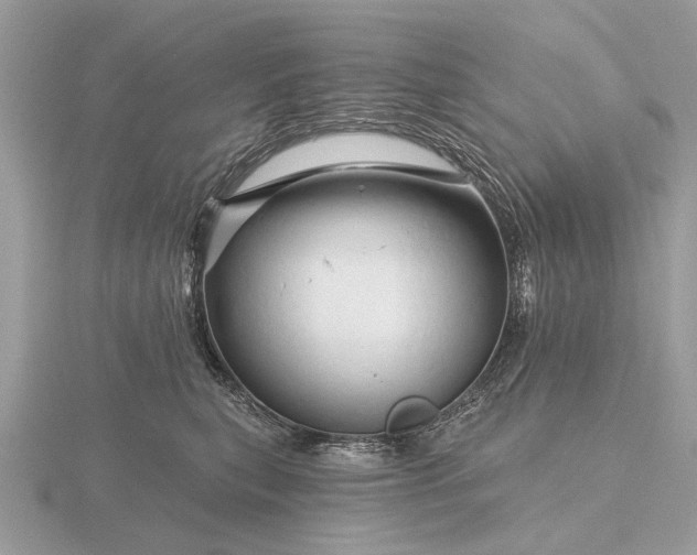 X0000116280567200912141351