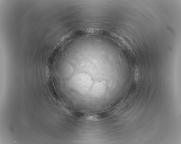 X0000116280569200912141351