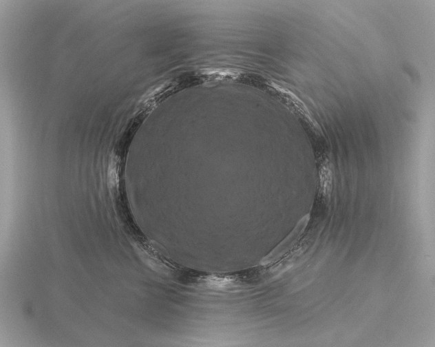 X0000116280570200912141351