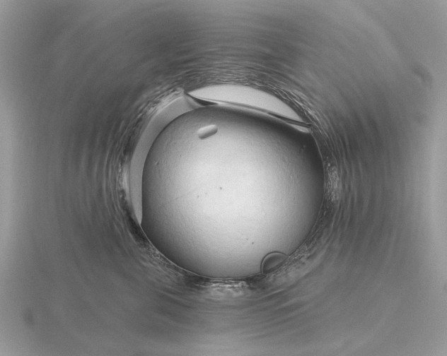 X0000116280571200912141351