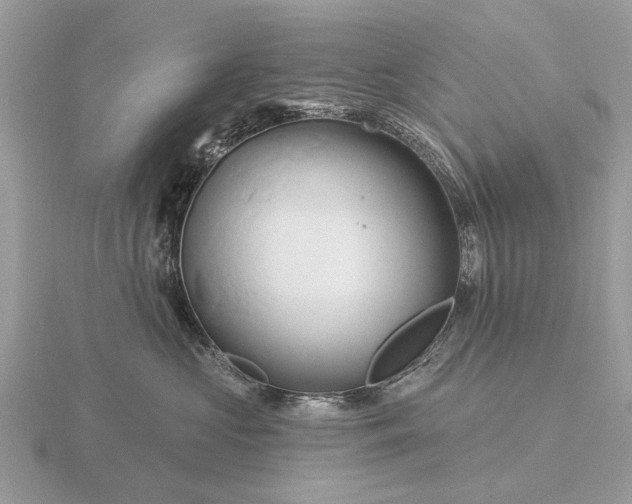 X0000116280573200912141351