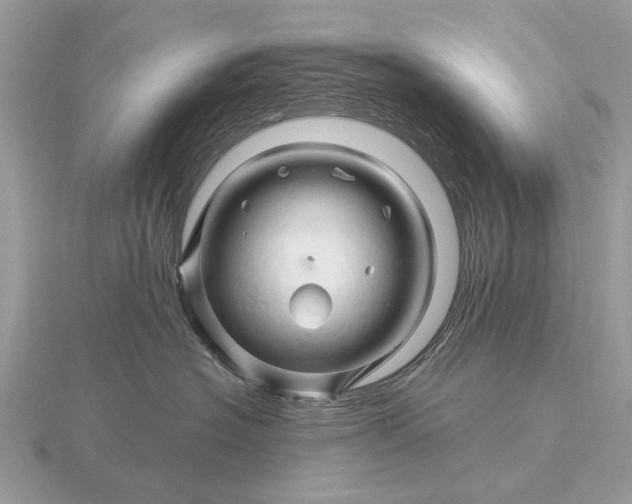 X0000116280574200912141351