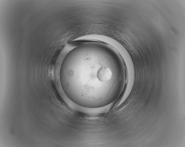 X0000116280575200912141351