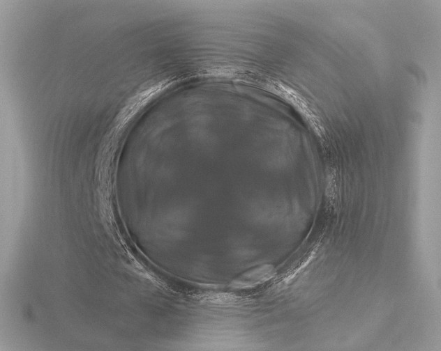 X0000116280577200912141350