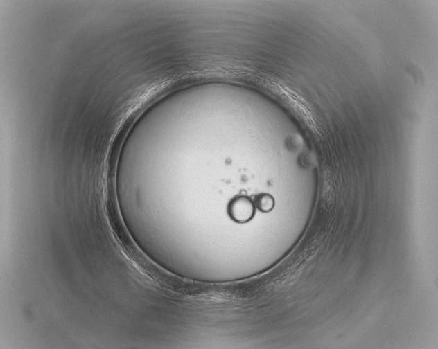 X0000116280578200912141350