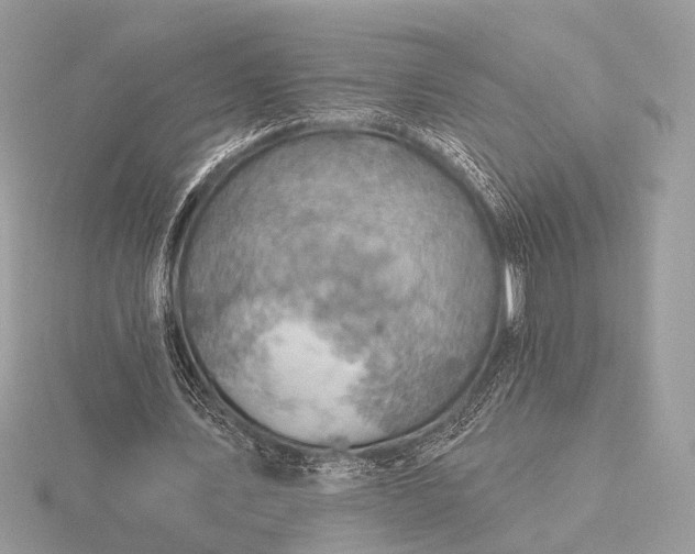 X0000116280579200912141350