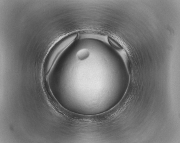 X0000116280580200912141350