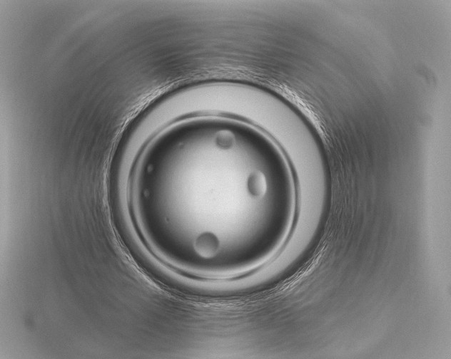 X0000116280581200912141350