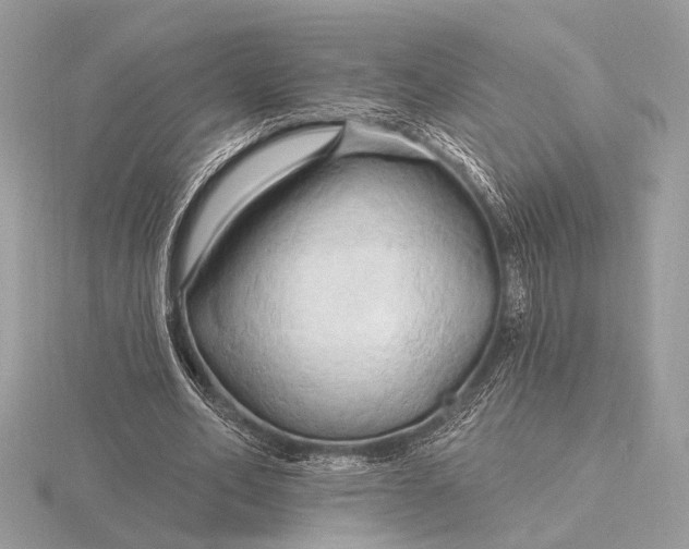 X0000116280582200912141350