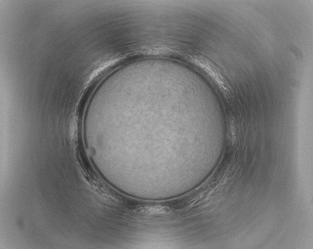 X0000116280583200912141350