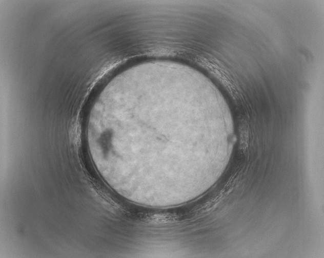 X0000116280584200912141350