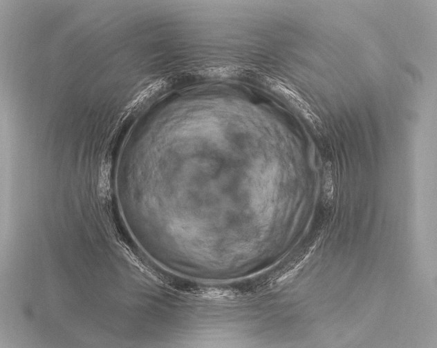 X0000116280585200912141350