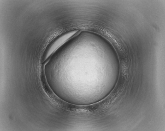 X0000116280586200912141350